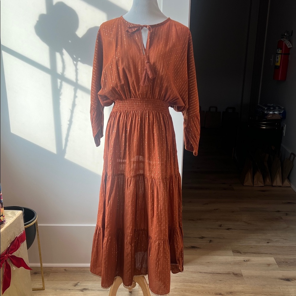 Chic Long Sleeve Rust Dress